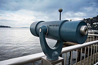 《圣兽之王》将提供香草社历史最大内容分量